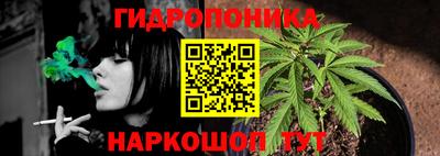 кокс Обь