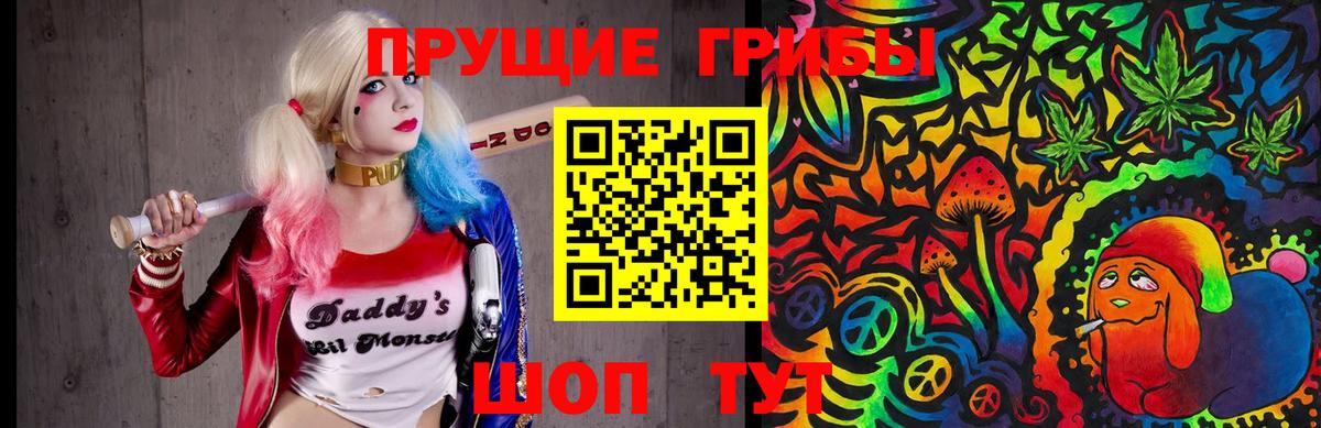 Псилоцибиновые грибы Psilocybe Семёнов