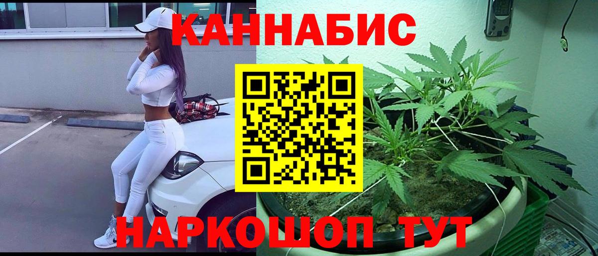 МАРИХУАНА план  МАРИХУАНА планчик  Каннабис SATIVA & INDICA  Вход с VPN  Семёнов  Канабис Bruce Banner 